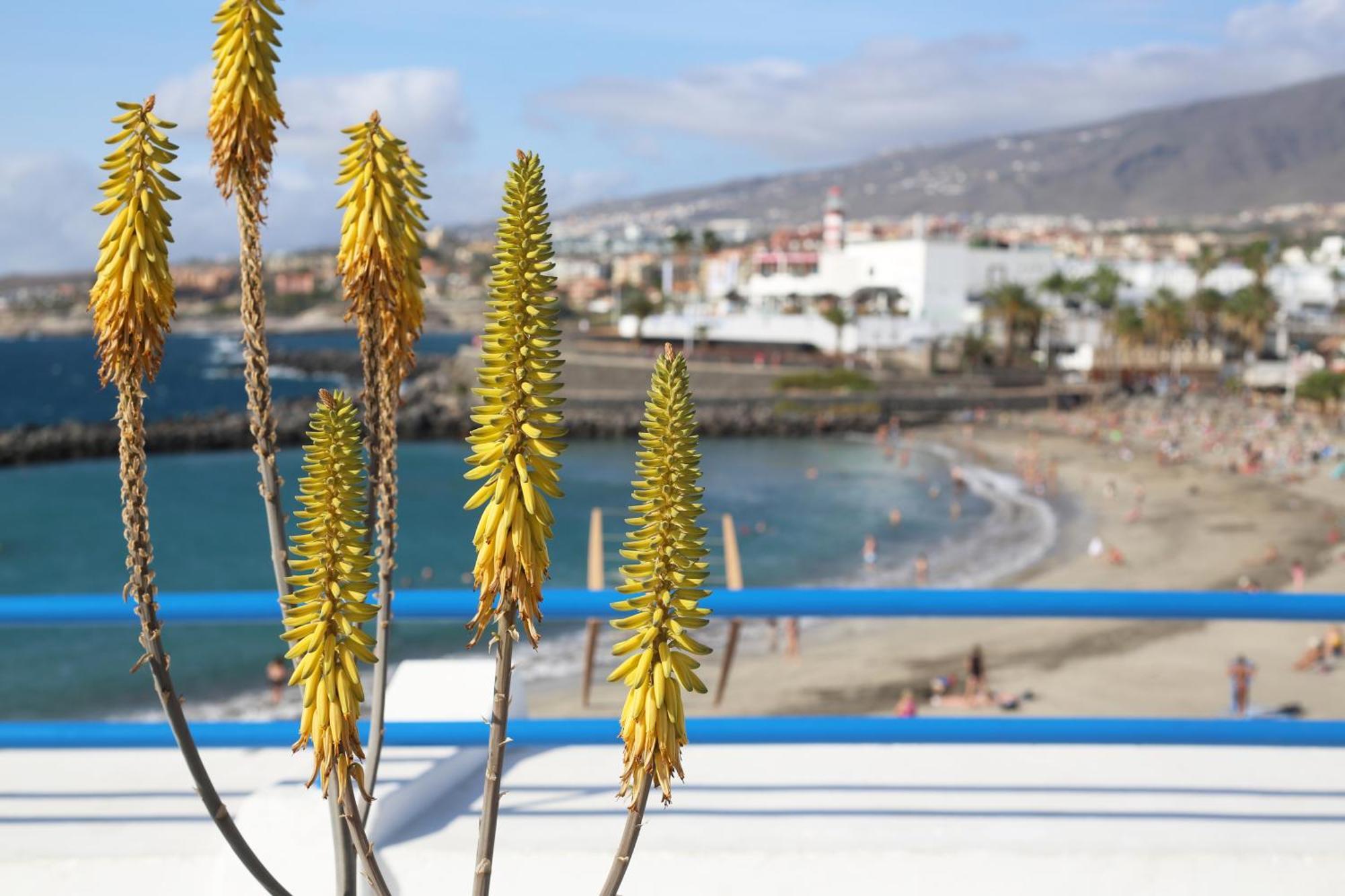 Luxury Romantic Ocean View Costa Adeje Dış mekan fotoğraf